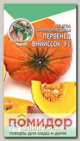 Тыква Первенец ВНИИССОК F1, 5 шт. Авторские семена