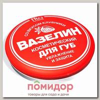 Вазелин косметический для губ Увлажнение и защита со вкусом клубники, 10 г