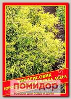Кипарисовик Горохоплодный «Filifera Aurea», 0,2 г