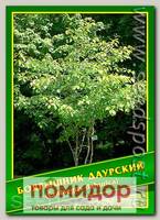 Боярышник Даурский, 1 г (30 шт.)