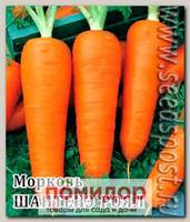 Морковь Шантенэ Роял, 25 г Профессиональная упаковка