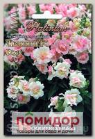 Антирринум махровый (Львиный зев) Твинни Роз F1, 10 шт. Platinum