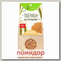 Пшеница для проращивания, 500 г