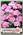 Пеларгония Мультиблум Пинк F1, 5 шт.