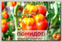 Томат Грушевидный перчик, 10 шт.