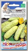 Огурец - корнишон Мишка на севере F1, 10 шт.