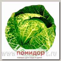 Блюдо сервировочное Walmer Colourful Cabbage, 17х18 см