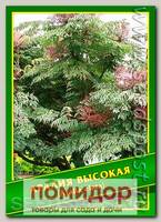Аралия Высокая, 0,5 г (65 шт.)