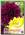 Георгин PURPLE/YELLOW MIXED, 2 шт. NEW