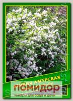 Дейция Амурская, 0,01 г (50 шт.)