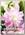 Лилия восточная махровая LOTUS ELEGANCE, 2 шт. NEW
