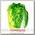 Блюдо сервировочное Walmer Colourful Greenery, 13х18 см
