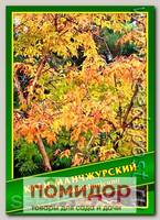 Клен Манчжурский, 1 г (7 шт.)