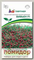 Петуния мини каскадная многоцветковая Лагуна Вивьен F1, 5 шт.