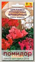 Цикламен крупноцветковый Мраморный, Смесь, 0,05 г