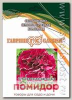 Петуния махровая крупноцветковая Даубл Каскад Бургунди F1, 250 шт. Профессиональная упаковка