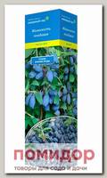 Жимолость съедобная ДОЧЬ ВЕЛИКАНА, 1 шт. СЕВЕРНЫЙ САД