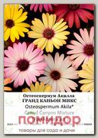 Остеоспермум Акилла Гранд Каньон Микс, 25 шт. СЕМКОМ ПРОФИ PanAmerican Seeds