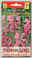 Физостегия Розовая королева, 10 шт.
