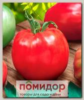 Томат Калабрезе, 5 шт.
