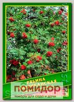 Рябина Американская, 0,1 г (15 шт.)