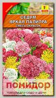 Седум Яркая палитра, Смесь, 0,03 г
