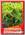 Можжевельник Средний «Variegata», 5 шт.