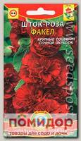 Шток-роза Факел, 12 шт.