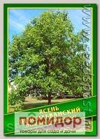 Ясень Пенсильванский, 1 г (25 шт.)