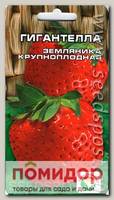 Клубника крупноплодная Гигантелла, 10 шт.