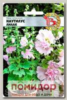 Мини Шток-Роза Наутилус Лилак, 8 шт.