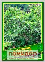 Ольховник Выемчатый, 0,1 г (50 шт.)