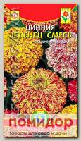 Цинния Леденец, Смесь, 0,3 г