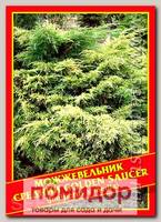 Можжевельник Средний «Golden Saucer», 5 шт.