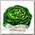Блюдо сервировочное Walmer Colourful Lettuce, 20х24 см