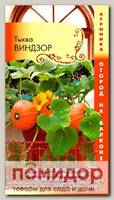 Тыква Виндзор, 3 шт. Огород на балконе